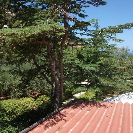 Le Case Di Virgin 1 Castellammare del Golfo Dış mekan fotoğraf